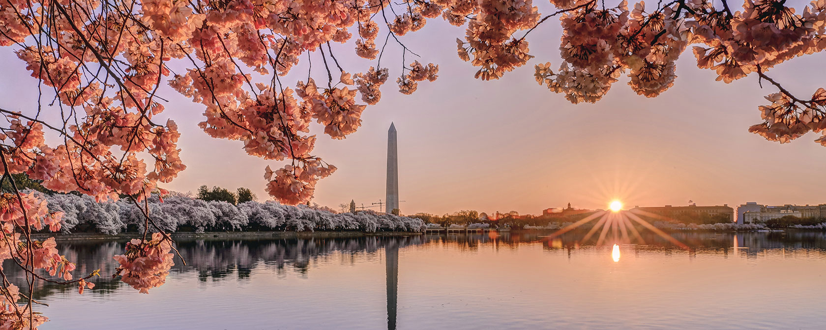 La migliore città da visitare nel 2024 | Washington DC